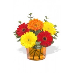 5 Small Gerberas Vase Bouquet