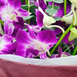 Exquisite 10-Piece Thailand Orchids Bouquet Exquisite 10-Piece Thailand Orchids Bouquet
