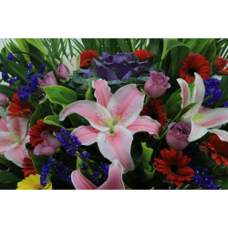 Flowers for Congratulations with Red Lily and Mixed Colors of Gerberas Flowers for Congratulations with Red Lily and Mixed Colors of Gerberas