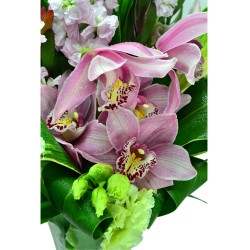 Exquisite Harmony Holland Cymbidium Vase Arrangement Exquisite Harmony Holland Cymbidium Vase Arrangement